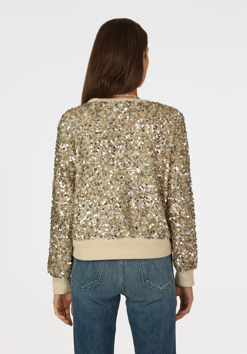 Paillette Sequin Sweatshirt dylan clothing