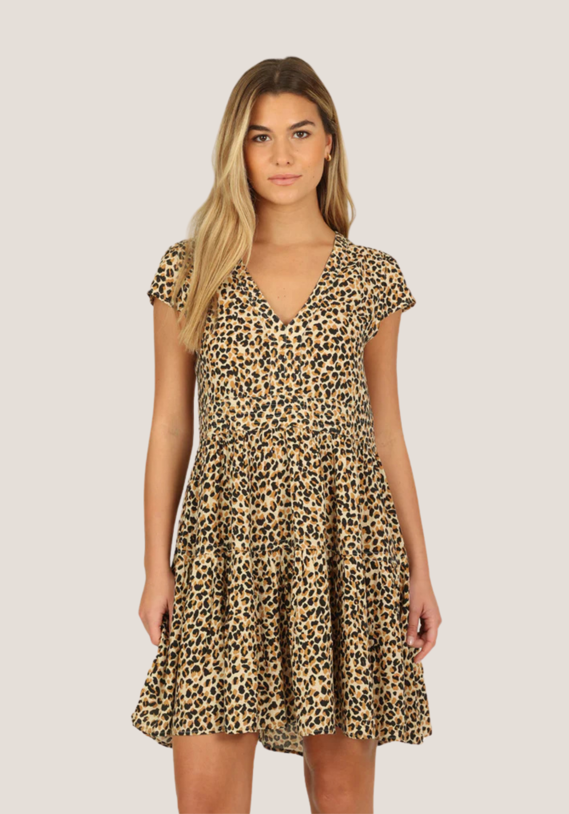 Leopard Day Dress